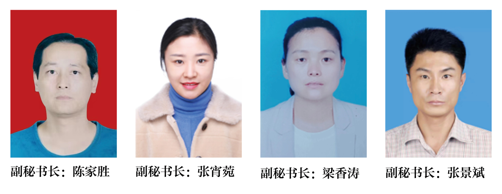 副秘书长.jpg